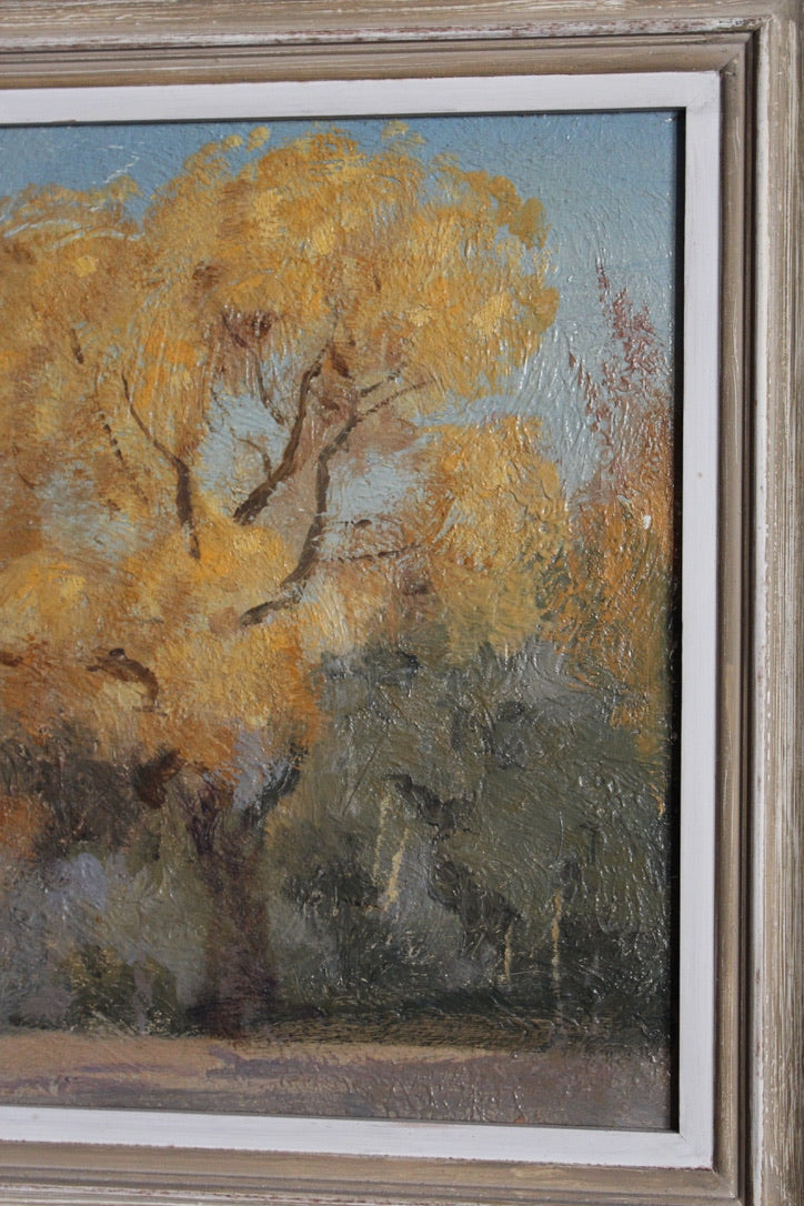 Oil painting 'Cottonwoods Autumn' (1929) attributed to DeWitt Parshall (1864-1956)
